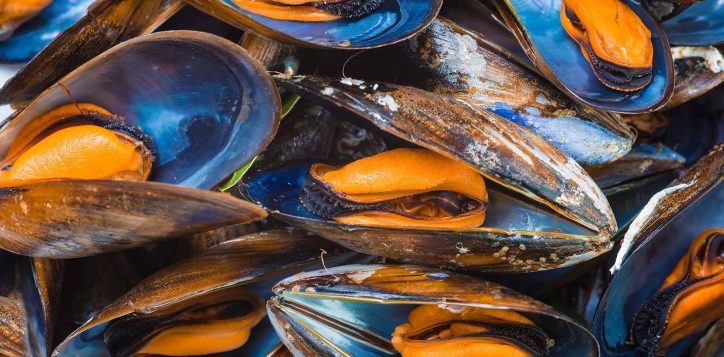 mussel-wednesdays-fridays