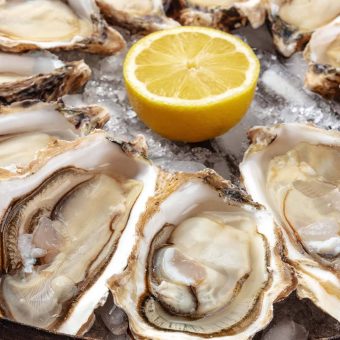 oyster-thursdays